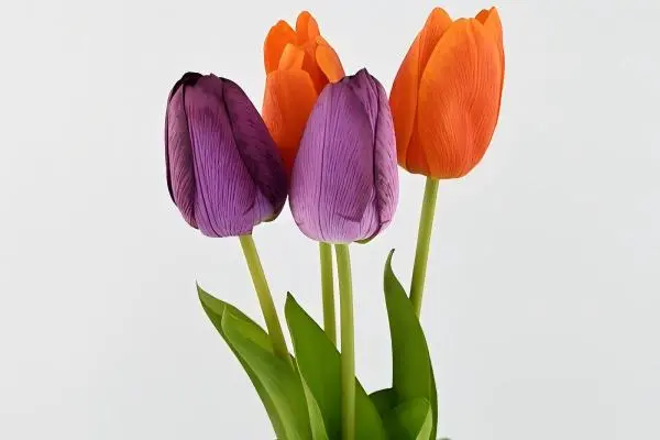 Best realistic fake tulips for home